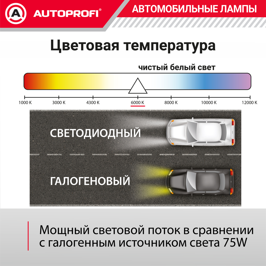 Лампа светодиодная X2-HB4